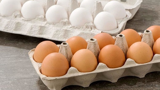 قیمت مصوب هر عدد تخم مرغ فله 1450 تومان