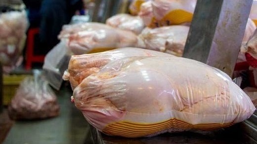 قیمت گوشت مرغ بازهم مسئولان را غافلگیر کرد