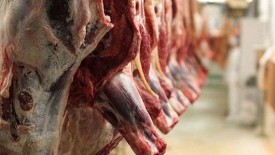 یارانه گوشت چه نفعی برای کارگران و فرودستان دارد؟