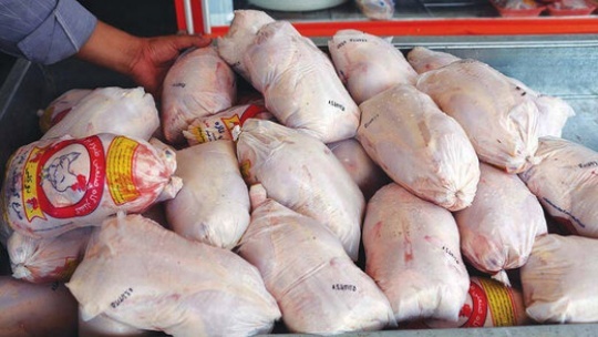 ارزش بازار چندم مرغ چقدر است؟