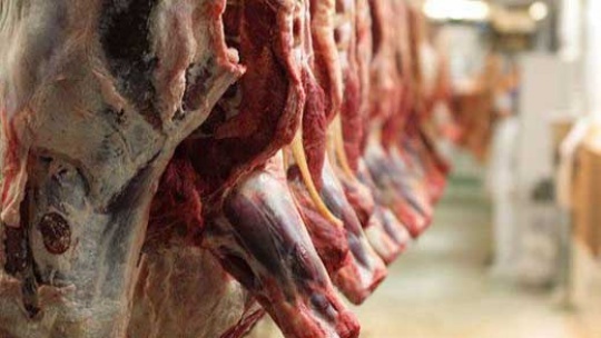 نوع جدید زرشکی گوشت در بازار مورد ارزیابی قرار گرفت