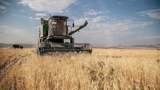 پول خرید تضمینی گندم بلافاصله پرداخت می‌شود