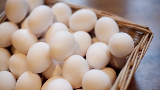 تخم مرغ‌ ها روی دست مرغداران ماندند