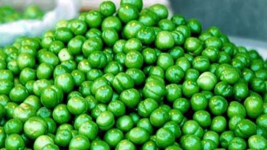 نوبرانه ها ارزان شدند