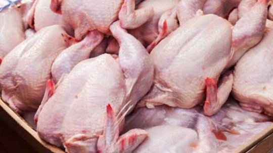 آخرین قیمت مرغ تازه در بازار