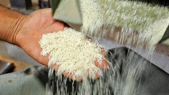 افزایش مجدد 5 تا 10 درصدی نرخ برنج