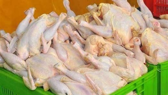 مرغ در بازار امروز با چه قیمتی فروش رفت؟