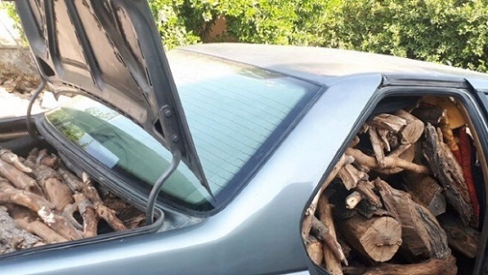 گزارشی از کسب و کار پر رونق قاچاق چوب