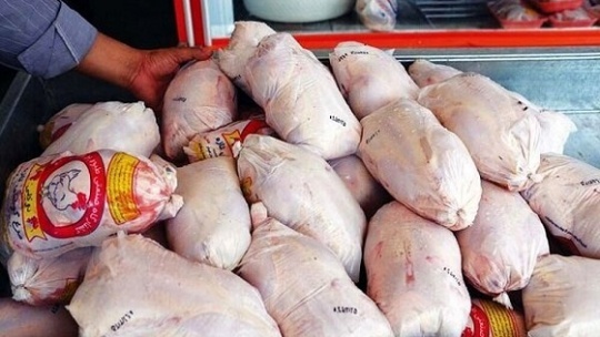 پذیرایی از میهمانان جام جهانی قطر با مرغ ایرانی