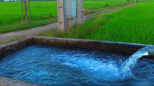 شرط رایگان شدن برق زمین‌های کشاورزی