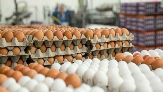 من می خواهم به بازار بروم