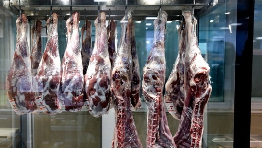 افزایش قیمت جو، ملاکی برای تعیین قیمت گوشت نیست