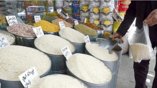 ریزش قیمت برنج با رسیدن فصل برداشت