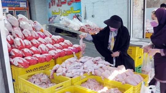 قیمت جدید گوشت مرغ در بازار تهران 1401/04/22