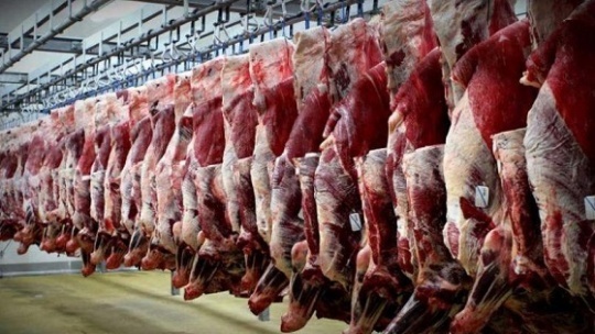 گره کور مافیای گوشت، در تشکل‌ها باز می‌شود؟!