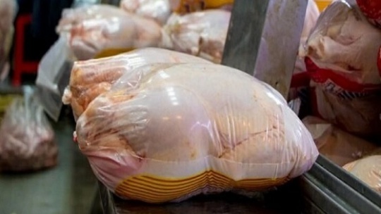 نجومی شدن قیمت گوشت مرغ