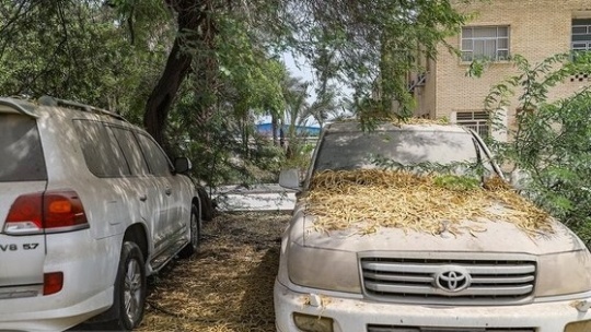 قبرستان خودروهای لوکس در گمرک بندرعباس + تصاویر