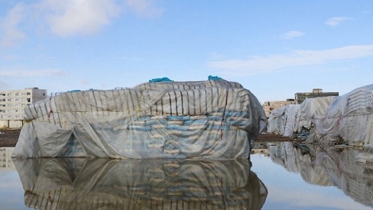 واکاوی تأثیر یک‌ تصمیم در آب‌گرفتن برنج‌های وارداتی