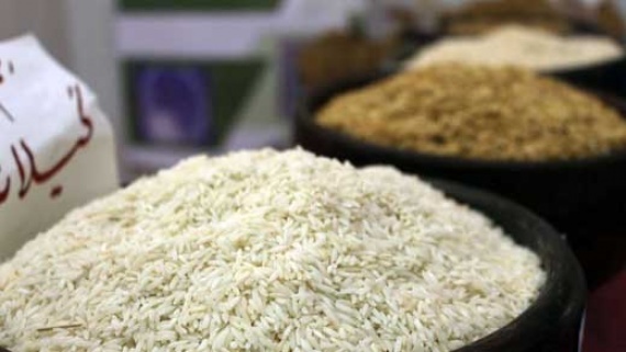 حباب برنج تركيد