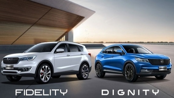 ایرادات بزرگ و شایع در خودروهای فیدلیتی و دیگنیتی