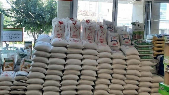 کاهش قیمت برنج با آغاز برداشت و افزایش عرضه