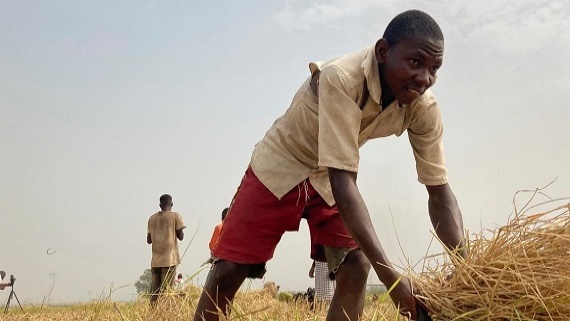 6 ماه جنگ روسیه؛ اقتصاد جهانی در معرض خطری فزاینده