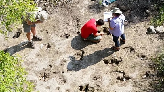 خشکسالی در تگزاس باعث کشف ردپای دایناسور ۱۱۳ میلیون ساله شد