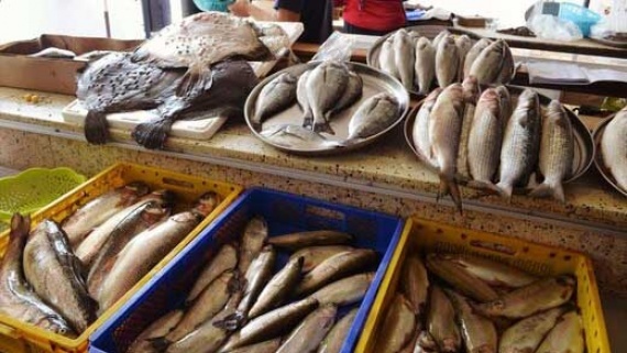 قیمت انواع ماهی در بازار امروز