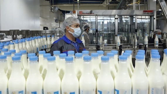 قیمت انواع بطری های دوغ 1.5 لیتری در بازار