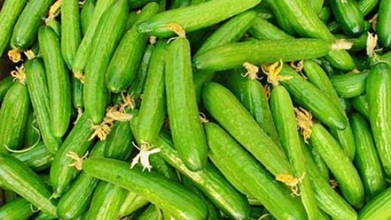 علت افزایش قیمت خیار سبز چیست؟