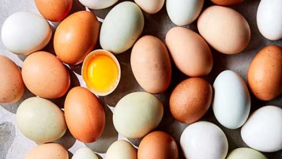 تخم‌مرغ در پاییز گران‌تر می‌شود؟
