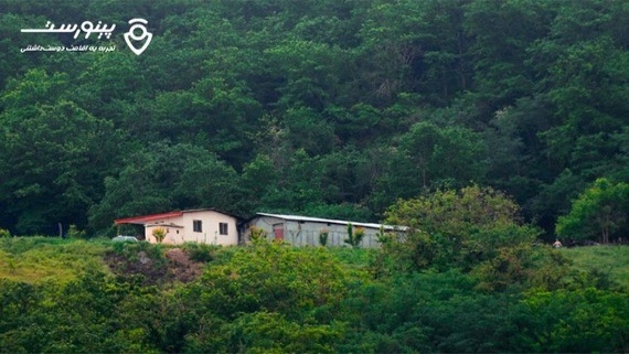 همه چیز درباره جنگل دالخانی رامسر