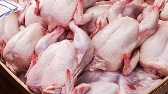 قیمت جدید انواع گوشت مرغ، قطعه بندی و بسته بندی