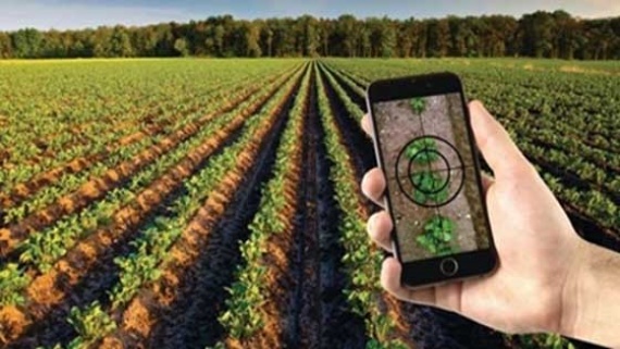 طرح ملی الگوی کشت فردا رونمایی می شود