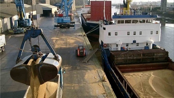 قفل ترخیص نهادههای دامی باز شد