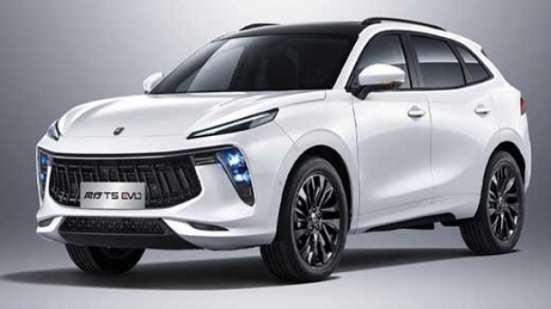 جزئیات عرضه لاماری در بورس کالا اعلام شد