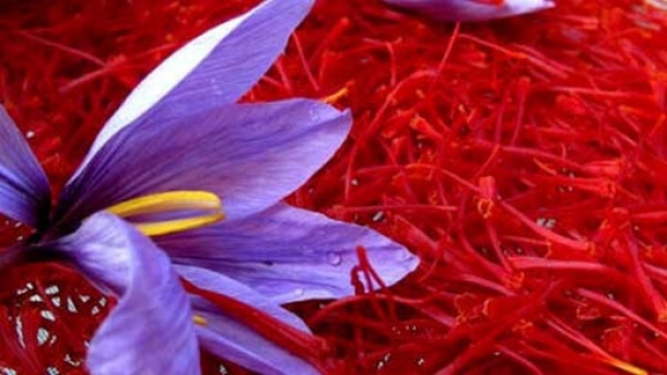 قرارداد پر ابهام زعفران ایران