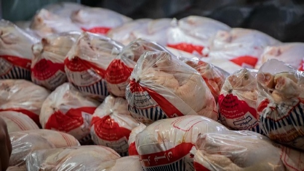 توزیع مرغ منجمد با قیمت 45 هزار تومان آغاز شد