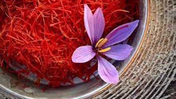 آغاز خرید تضمینی زعفران از فردا