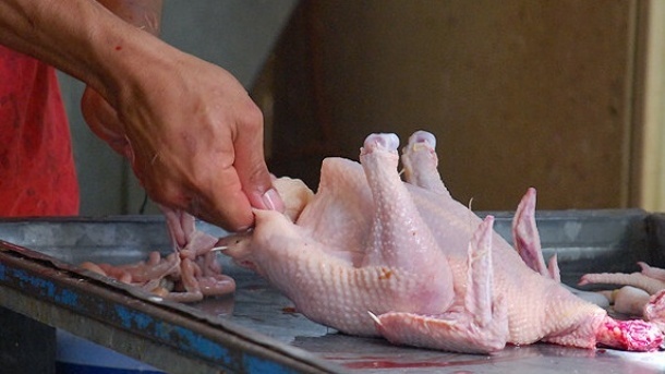 فروش مرغ با قیمت بیش از ۶۳ هزار تومان تخلف است