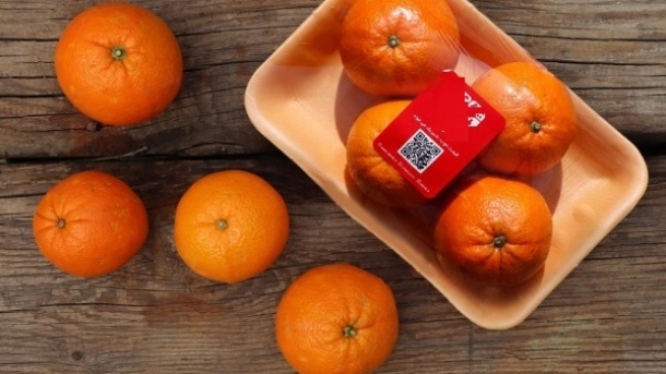 پرتقالهای نارنجی رنگ ضرر ندارند