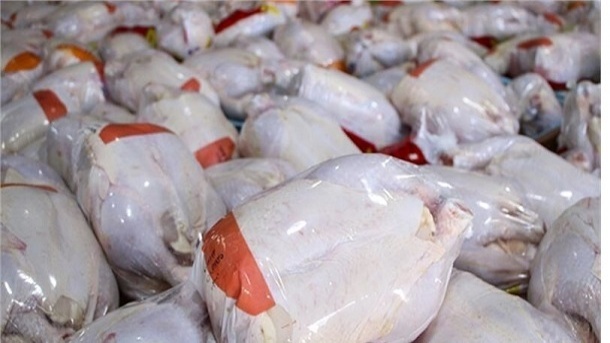 قیمت گوشت مرغ در سراشیبی قیمت
