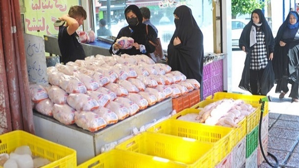قیمت گوشت مرغ در بازار 11 هزار تومان زیر نرخ مصوب