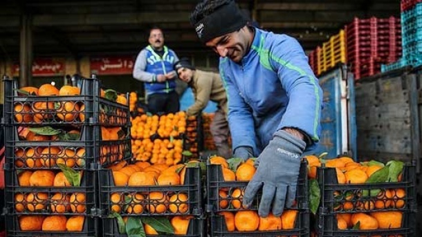 سود میوه های نوبرانه از میادین تا مغازه!