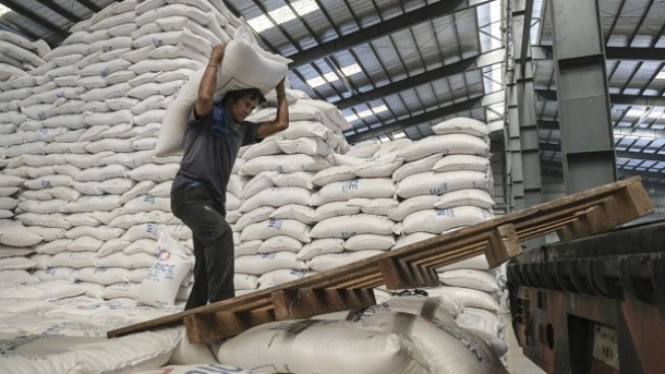 3 برابر پارسال برنج وارد کردیم