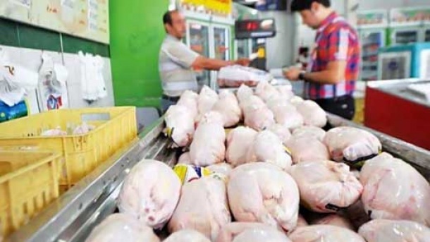 اتحادیه مرغداران : برای تنظیم قیمت ، مرغ ذخیره کنید!