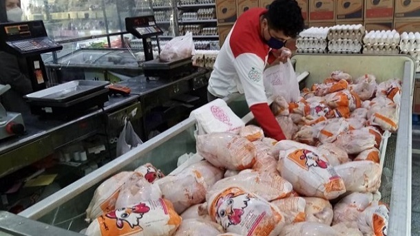 صادرات مرغ آزاد شد