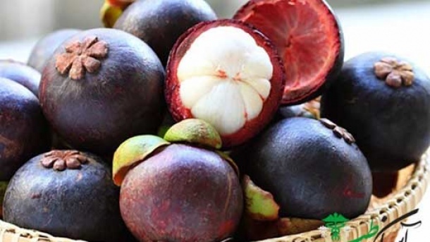 نگاهی به قیمت میوه های لوکس و لاکچری