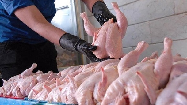 کاهش قیمت مرغ گرم به 47 هزار تومان