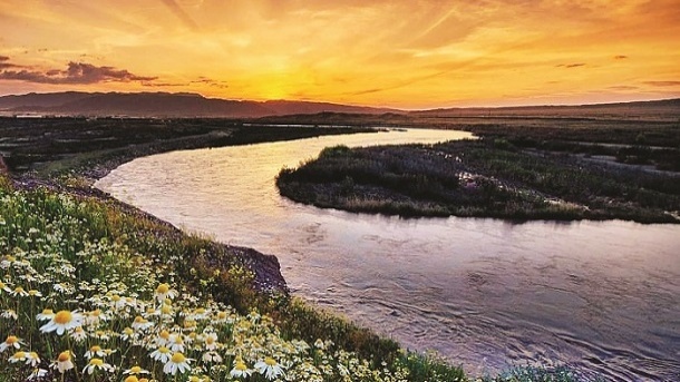 متهم: سریال سدسازی ترکیه